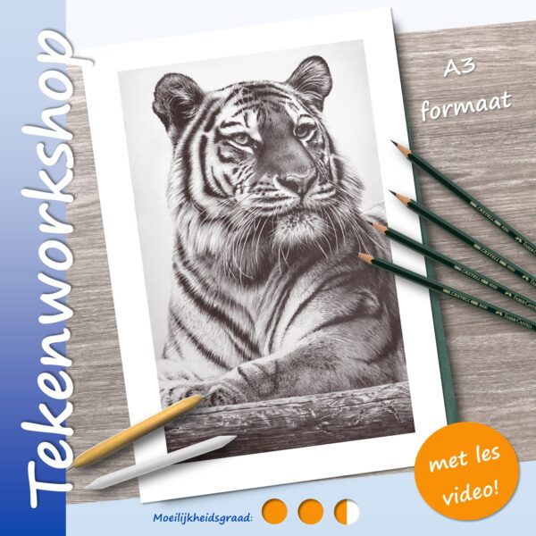 Tijger portret